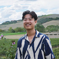Flow Dentistry's profile picture