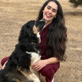 Caitlyn J. Dentist