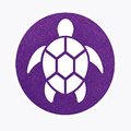 San Mateo Center for Cosmetic Dentistry's profile picture