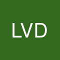 Lily voong dds's profile picture