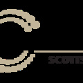 Dental Center of Scottsdale's profile picture