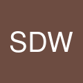 Silk Dental Wellness's profile picture