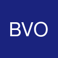 Buena Vista Orthodontics's profile picture
