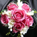 Pleasanton Star Dental's profile picture