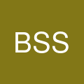 Bradley S Strong Ltd's profile picture