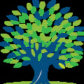 Wellness Dental's profile picture