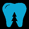 NorCal Pediatric Dentistry's profile picture
