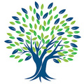 Wellness Dental's profile picture