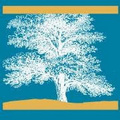 Dixon Plaza Dental Care's profile picture